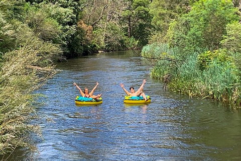 Watertube Experience In Yarra River - Pet Food Australia 0