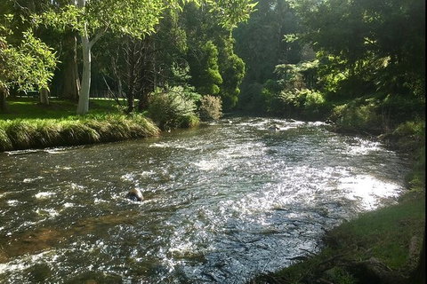 Watertube Experience In Yarra River - Pet Food Australia 3