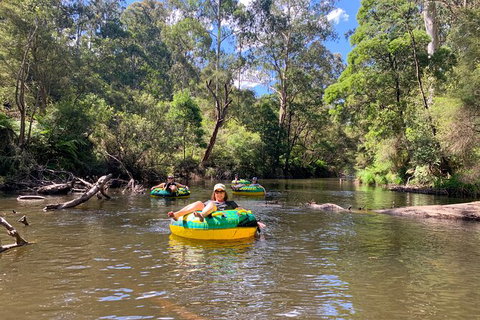 Watertube Experience In Yarra River - Pet Food Australia 4