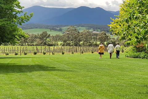 Yarra Valley Wine Tasting Day Tour From Melbourne - Food Delivery Shop 6