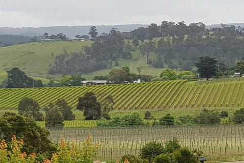 Yarra Valley Wine Tasting Day Tour From Melbourne - Food Delivery Shop 0