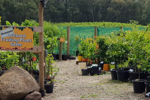 Yarra Valley Wineries And Rayners Orchard Tour From Melbourne - Food Delivery Shop 0