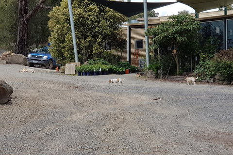 Yarra Valley Wineries And Rayners Orchard Tour From Melbourne - Food Delivery Shop 24