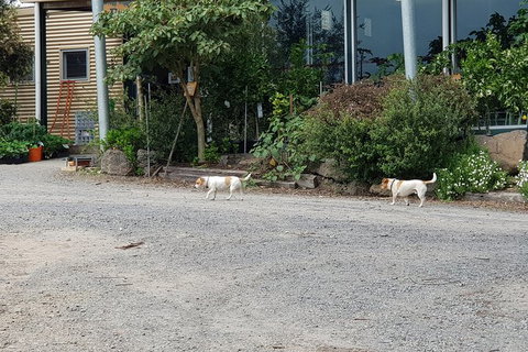 Yarra Valley Wineries And Rayners Orchard Tour From Melbourne - Food Delivery Shop 23