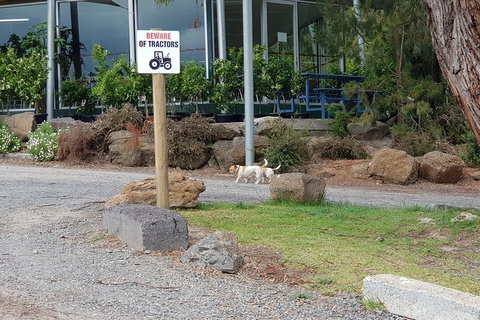 Yarra Valley Wineries And Rayners Orchard Tour From Melbourne - Food Delivery Shop 1