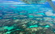 Shipwreck Special Full Day Tour Of The Abrolhos Islands - thumb 5