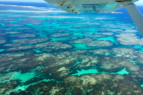 Shipwreck Special Full Day Tour Of The Abrolhos Islands - Food Delivery Shop 5