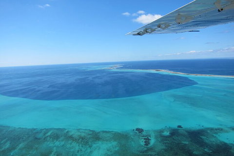 Shipwreck Special Full Day Tour Of The Abrolhos Islands - Food Delivery Shop 2