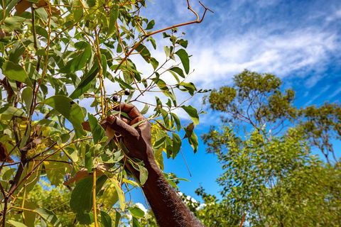 Mitchell Falls And Kimberley Coastal Camp (3night) - Food Delivery Shop 2