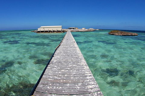 Abrolhos Islands 5 Day Tours - Food Delivery Shop 4