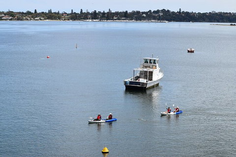 Cliffs And Caves Kayak Tour In Swan River - Food Delivery Shop 5