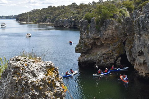Cliffs And Caves Kayak Tour In Swan River - Food Delivery Shop 2
