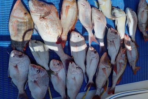 Geraldton Fishing Charter - Food Delivery Shop 7