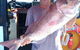 Geraldton Fishing Charter - thumb 10