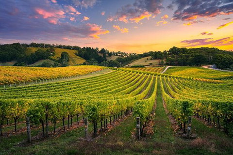 Swan Valley Sunset Wine Tour - Premium Small Group Tour - Food Delivery Shop 0