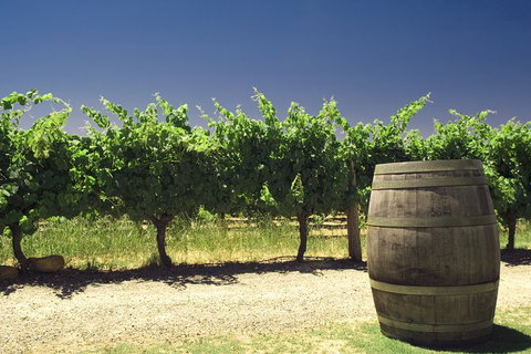 Pinnacles Desert Private Tour - Food Delivery Shop 4