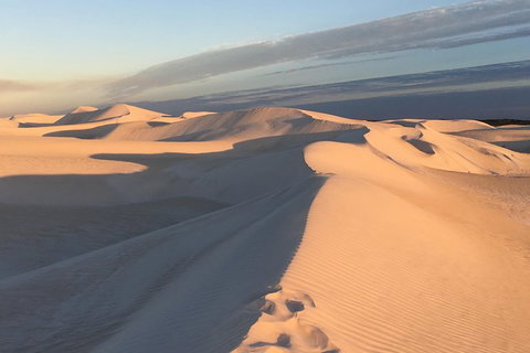 Pinnacles Desert Private Tour - Food Delivery Shop 2