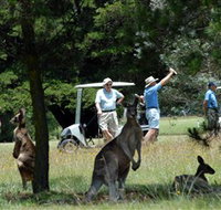 Glen Innes Golf Club - Pet Food Australia