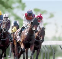 Colac Turf Club - Food Delivery Shop