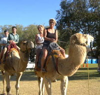 Calamunnda Camel Farm - Pet Food Australia