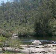 Wellington Discovery Forest - Food Delivery Shop
