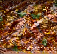 Pizza D'oh - Food Delivery Shop