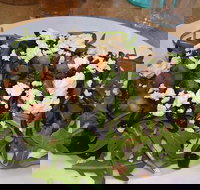 Food for All Seasons - Pet Food Australia