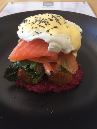 The Village Food Store - Pet Food Australia 0