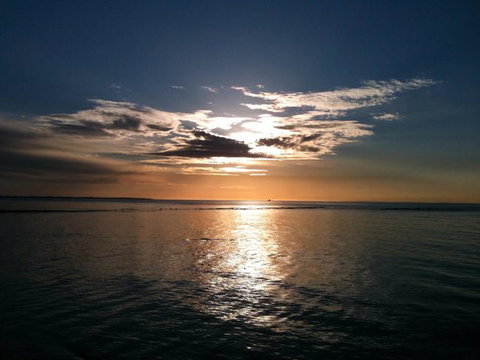 Blue Bay Cafe - Pet Food Australia 0