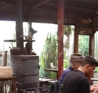 Bodhi Tree - Pet Food Australia