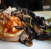 Wombat's Chai - Pet Food Australia