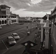 Circa 1902 - Pet Food Australia