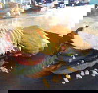 Gisborne Bakery  Cafe - Pet Food Australia