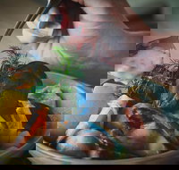 RORO Cafe on the Beach - Pet Food Australia