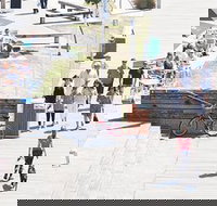 Scullys Oyster Bar and Grill - Pet Food Australia