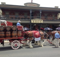 Terminus Hotel - Pet Food Australia