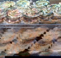 Red Fox Coffee Lounge - Pet Food Australia