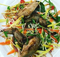 Tuileries Restaurant - Pet Food Australia