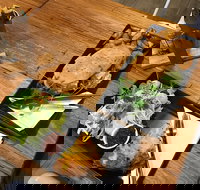 Two Little Owls Cafe - Pet Food Australia