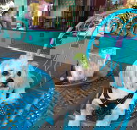 Amber Sweet Bliss - Food Delivery Shop