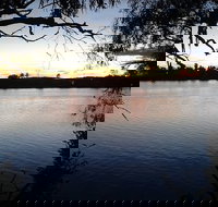 Rochy Pizza N' Bistro - Pet Food Australia