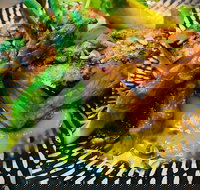 Yinnar Hotel - Pet Food Australia