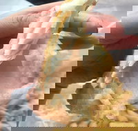 Coleraine Milk Bar - Pet Food Australia