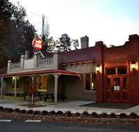 Mitta Pub - Food Delivery Shop