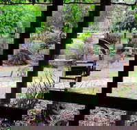 The Wander Inn - Food Delivery Shop