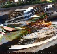 Produce and Fuel - Pet Food Australia