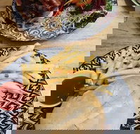 The Northern Bean - Pet Food Australia