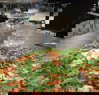 May's Pizzeria - Pet Food Australia