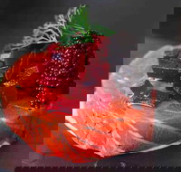 Tapas Tapas Bodega - Pet Food Australia