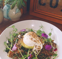 The Shak Organic Cafe  Wine Bar - Pet Food Australia